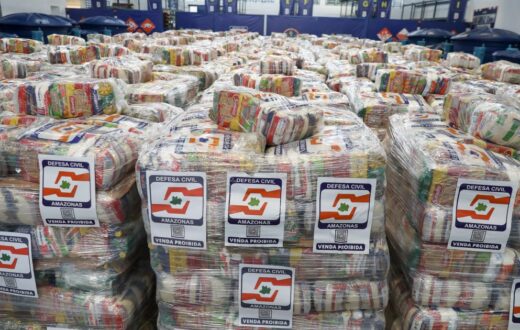 Incêndios no Amazonas somam 3.921 ocorrências e 24.390 focos até 29 de outubro