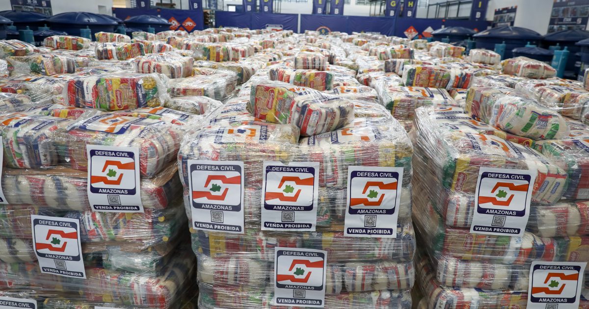 Incêndios no Amazonas somam 3.921 ocorrências e 24.390 focos até 29 de outubro